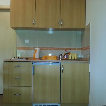 Apartmán Studio Apartman Kamelija Opatija Exteriér fotografie