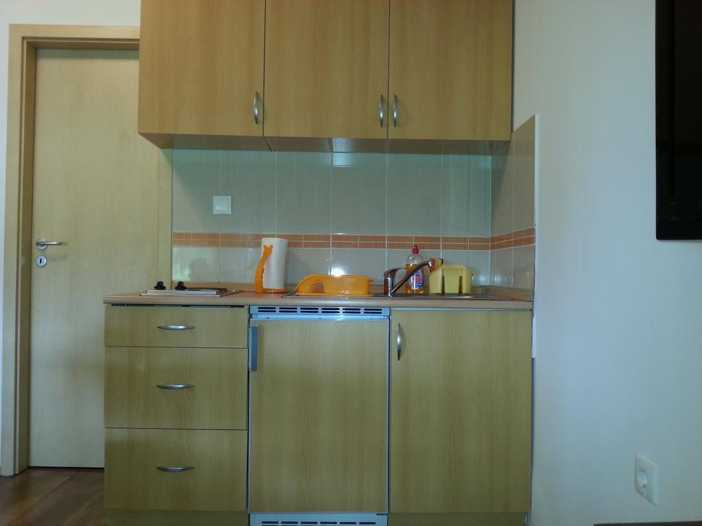 Apartmán Studio Apartman Kamelija Opatija Exteriér fotografie